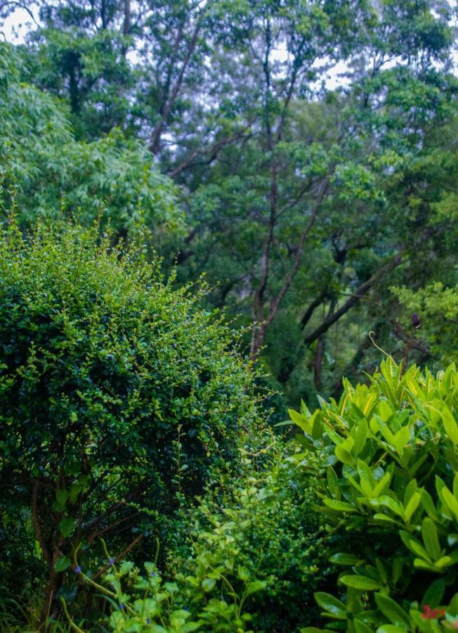 Siang Tsao Yu Chong Guest House Sanyi Exterior photo